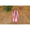 C&F Home Watermelon Whimsy Cotton Napkin Machine Washable Set of 6 - 4 of 4