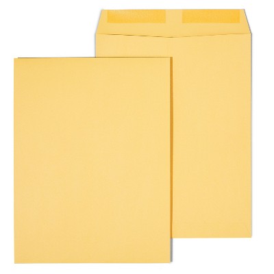HITOUCH BUSINESS SERVICES Gummed Catalog Envelopes 9.5"L x 12.5"H Brown 100/Box SPL534743