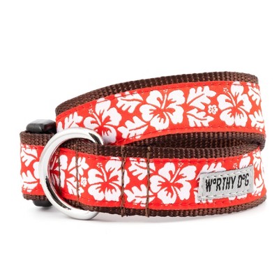 zoofari dog collar and lead