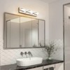 Rennnsan Cylven 20"W Hardwired Rectangle Industrial LED Dimmable Vanity Light in Silver - 2 of 4