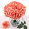 Floral Home 8" Pick Peach Rose - 50-Piece - 2 of 4
