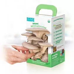 Back to the Roots Organic Mini Mushroom Grow Kit - Oyster