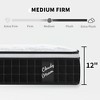 Dexmalle 12 Inch Hybrid Mattress Individual Pocket Spring Memory Foam - 4 of 4