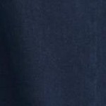 dark indigo