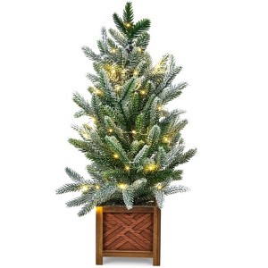 2ft Snow Flocked Pre-Lit Tabletop Christmas Tree with 30 Lights and Wooden Pot, Battery Powered - 1 of 4
