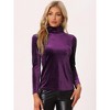 Allegra K Women's Solid Turtleneck Velvet Long Sleeve Work Basic Velour Blouse - 2 of 4