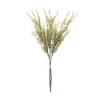 Melrose Mini Seed Pod Bundle (Set of 2) - 2 of 3