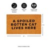 28" x 16" Nature Coir Mat, A spoilled rotten Cat - 3 of 4