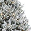 Christmas Royal Oaks Flocked Fir Tree 9ft, Pre-Lit 880 Warm White LED Lights, 2904 PE/PVC Tips - 3 of 4