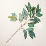 36" Faux Long Leaf Eucalyptus Stem - Hearth & Hand™ with Magnolia