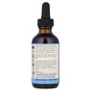 Eclectic Herb Horsetail Extract, 2 fl oz (60 ml) - 2 of 4