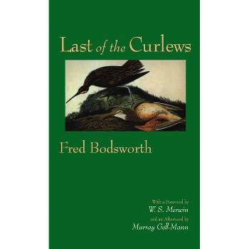 Last of the Curlews - by  Fred Bodsworth (Paperback)
