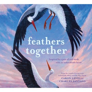 Feathers Together - (The Feeling Friends) by  Caron Levis (Hardcover) - 1 of 1