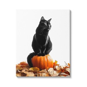 Stupell Industries Black Cat & Pumpkin, 16'' x 20'' - 1 of 4