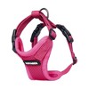 Step-in Lock Adjustable Cat Harness w. Cat Leash Combo Set with Neoprene Handle 5ft - Small, Medium and Large Breed Cats - 3 of 4