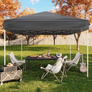 GustoWave Portable 10x10 Ft Pop Up Canopy Tent for Camping, Parties, Outdoor - 1 of 4