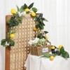 6FT Artificial Lemon Blueberry Garland, Spring Summer Fruit Garland with Greenery Leaves, Yellow Lemon Garland for Front Door Indoor Outdoor Decor - 3 of 4