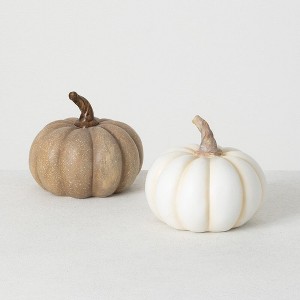 Sullivans Neutral Pumpkin Set of 2  5.5"H Brown - 1 of 3