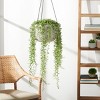 Rancer Planter - Indoor/Outdoor - PAT1527 - Safavieh - 2 of 4