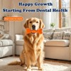 Dog Chew Toys Dog Toothbrush Care Cleaning Stick,Dog Toothbrush Chew Toy Stick for Dog Dental Care- SafeTeeth Cleaning Chewing Bones - 3 of 4