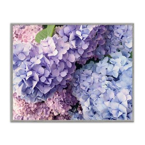 Stupell Industries Pastel Hydrangea Flower Petals, 20" x 16" - 1 of 4