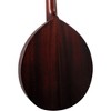 Kentucky KM-120 Army-Navy Special-Edition Mandolin Brown - 4 of 4