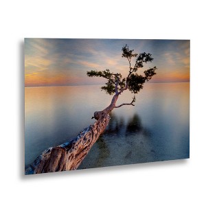 Trademark Fine Art-Moises Levy 'Water Tree XIV' Floating Brushed Aluminum Art - 1 of 4
