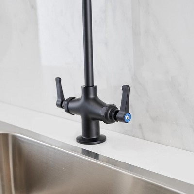 BWE Commercial Restaurant Pull-Down Double Handle Countertop Pre-Rinse Spray Utility Kitchen Faucet