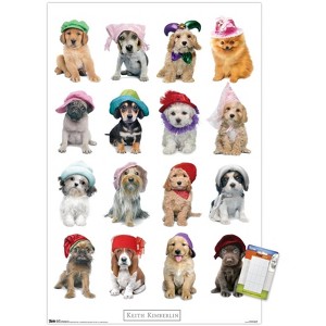 Trends International Keith Kimberlin - Puppies With Hats Unframed Wall Poster Prints - 1 of 4