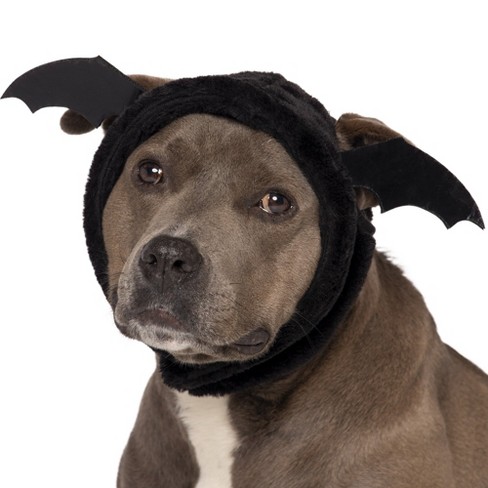 Dog Maleficent Costume