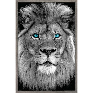 Trends International Reinders: Animals - Blue Eyed Lion Framed Wall Poster Prints - 1 of 4