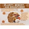 Mushroom Supplement, Mushroom Complex with Lion's Mane, Turkey Tail, Reishi, Cordyceps, Shiitake, 14-in-1 Mushrooms for Memory and Focus - 120ct - 3 of 4
