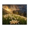 Trademark Fine Art Ales Komovec White Carpet Wood Slat Art - 3 of 4