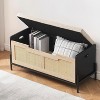 Acekool Rattan Storage Bench - Lift Top Entryway Organizer with Safety Hinges - 2 of 4