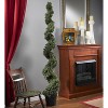 Spiral Silk Tree 6ft - Indoor Outdoor Decorative Accent Tree - Rococo Romance Design - 2 of 2