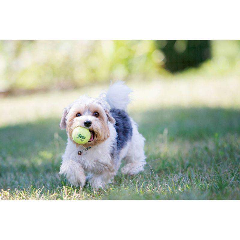 KONG SqueakAir Tennis Ball Dog Toy, 4 of 11