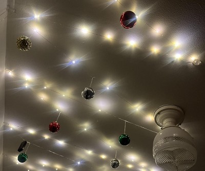 Guest review image 1 of 1, zoom in