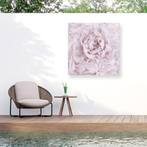 Trademark Fine Art - Cora Niele Pink Peony Flower Matted Framed Art - 1 of 4