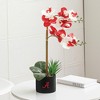 Forever Leaf Alabama State Faux Orchid, Indoor Artificial Plant for Home Decor - 2 of 4