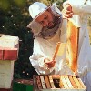 Lehman's Stoney Acres Beekeeping Beehive Box, 10 Frame Deep Assembled Super or Brood Honeybee Hive Box, Amish Made - 3 of 4
