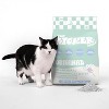 THE LICKER STORE Unscented Premium Clumping Bentonite Clay Cat Litter w/Activated Charcoal - 3 of 4