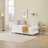Twin Metal Daybed with Trundle, No Box Spring Needed - 3 of 4