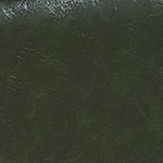 dark green+pu+flip top