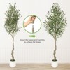 5-7FT Artificial Olive Trees - Realistic Faux Silk Plants with Moss & White Bamboo Pots for Indoor/Outdoor Home & Office Decor - 4 of 4