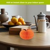 Briarwood Lane Fall Honeycomb Paper Decor 3x5 Orange Pumpkin Honeycomb - Small Magnetic For Fall Honeycomb Paper Decor Party Centerpiece Decoration - 4 of 4