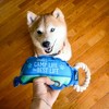 Pavilion Gift Company - Camp Life - 10.5" Canvas Dog Toy on Rope - Pet Toy - 2 of 4
