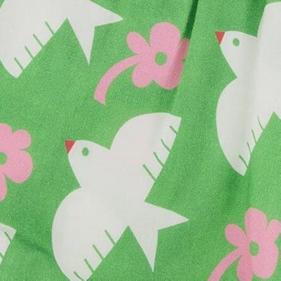 green with white and pink bird