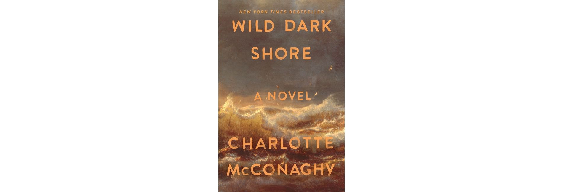 Wild Dark Shore - by  Charlotte McConaghy (Paperback)