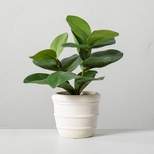 8" Mini Faux Clusia Rosea Plant - Hearth & Hand™ with Magnolia