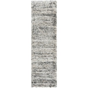 Iceland Shag ISG519 Power Loomed Rugs - Safavieh - 1 of 4